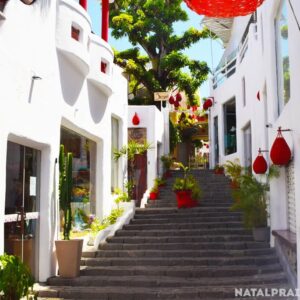 Passeio Praia de Pipa